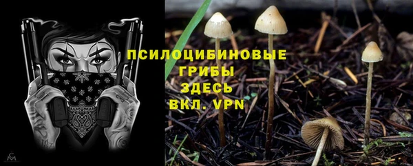 МДМА Алексеевка
