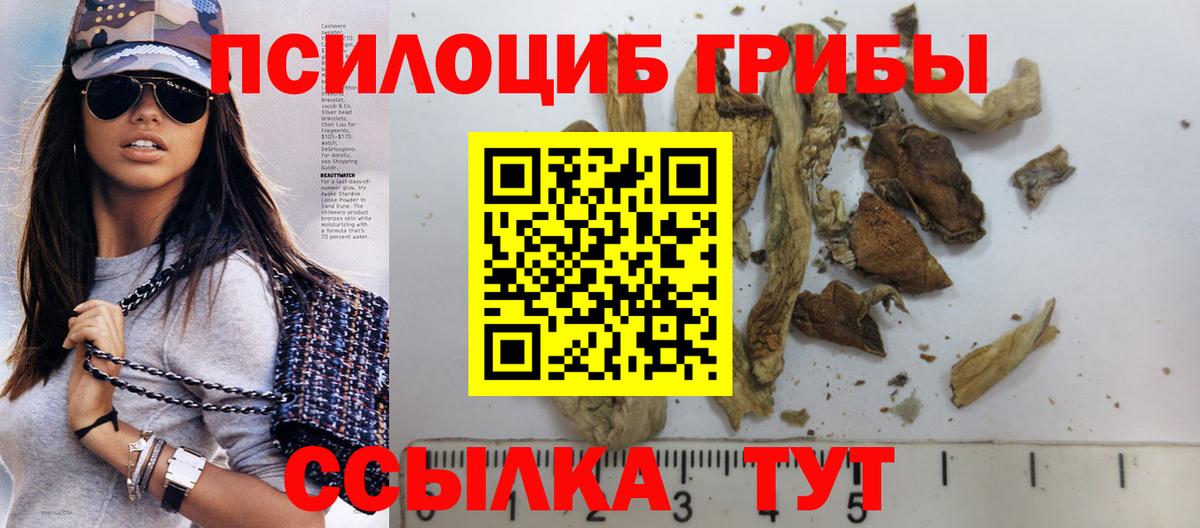 Псилоцибиновые грибы Psilocybe Крымск