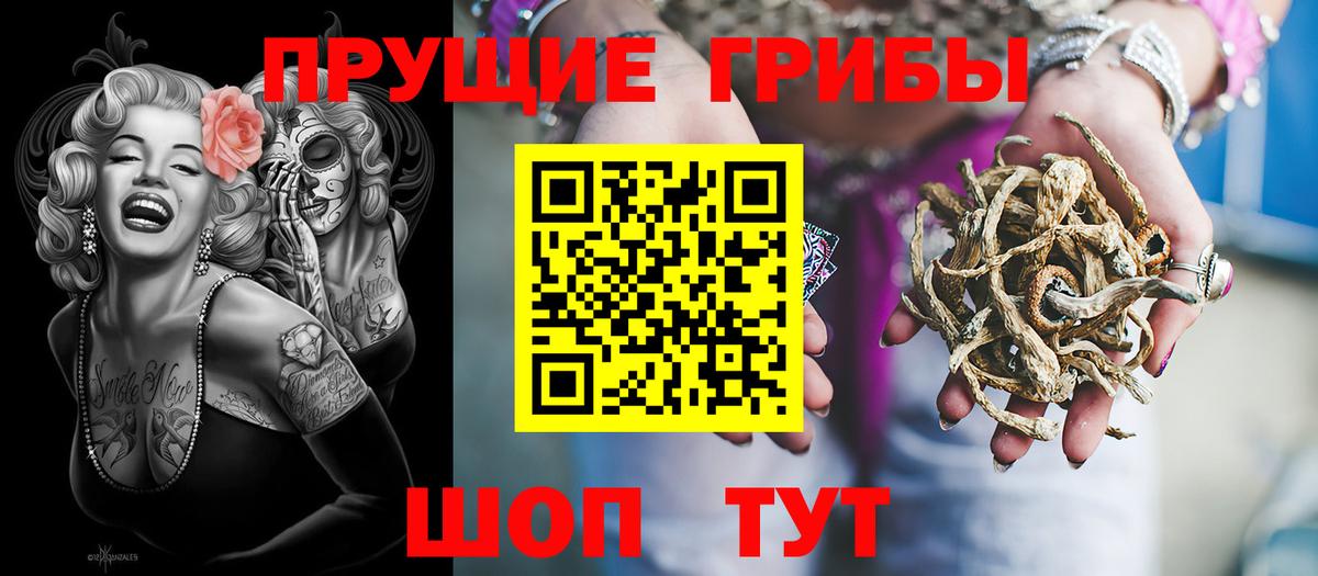 Галлюциногенные грибы прущие грибы  Вход с VPN  Крымск 